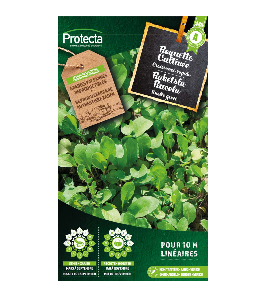 Raketsla Rucola main product photo