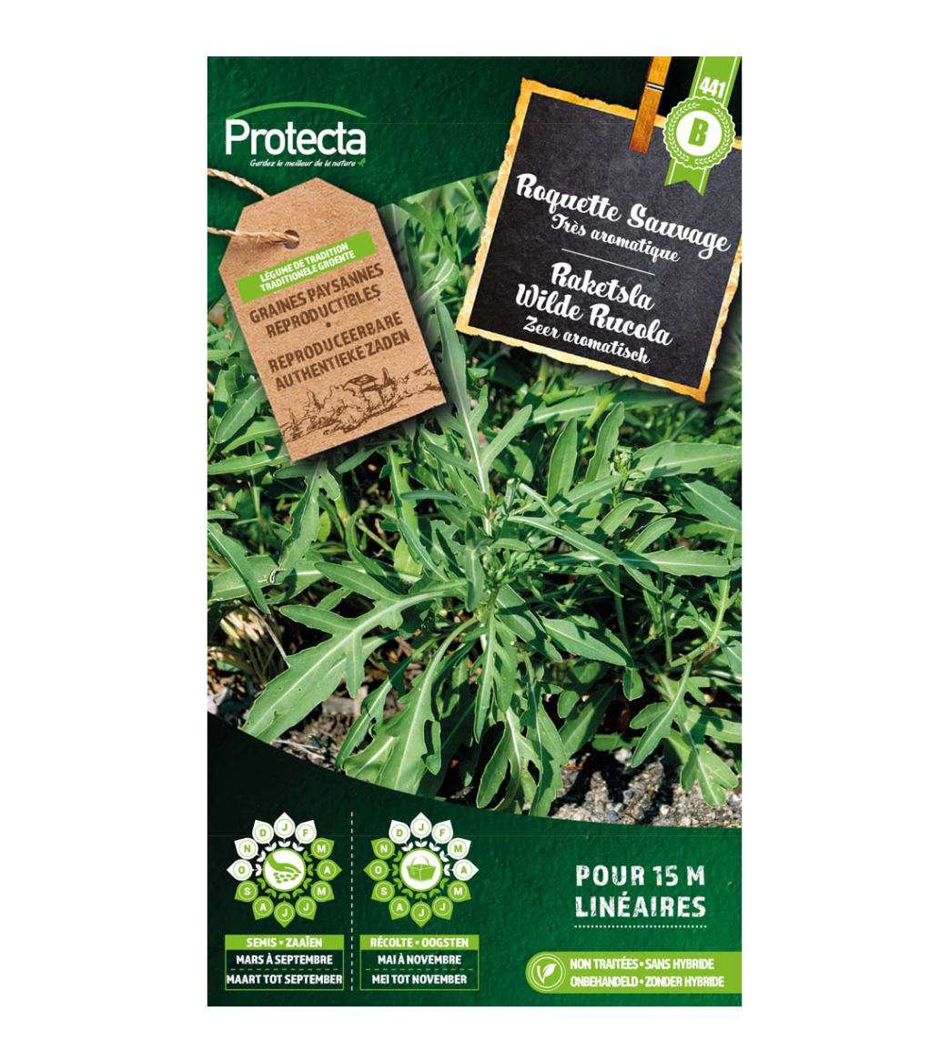 Raketsla Wilde Rucola main product photo