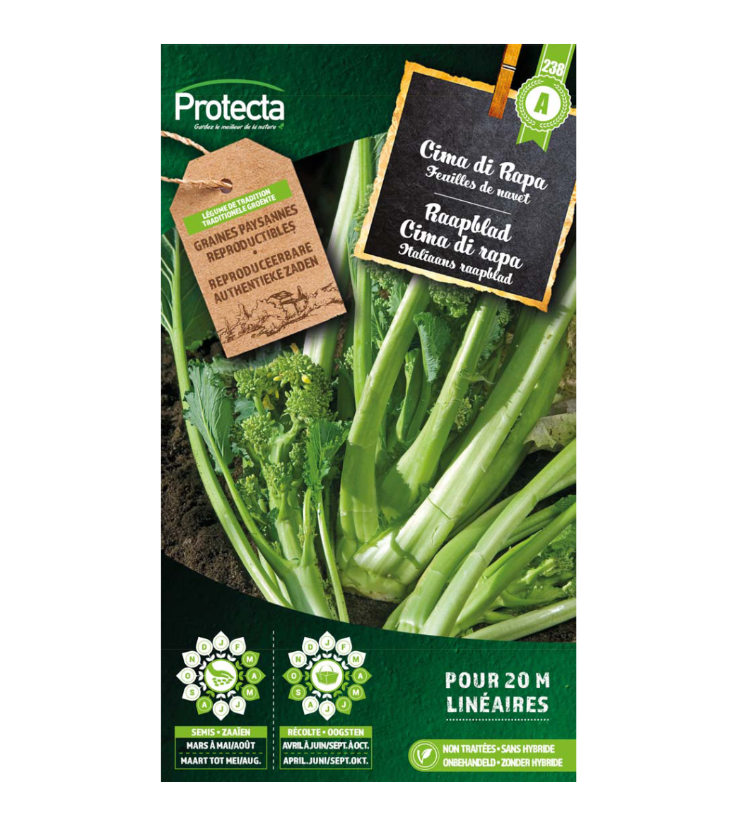 Raapblad Cima di rapa main product photo