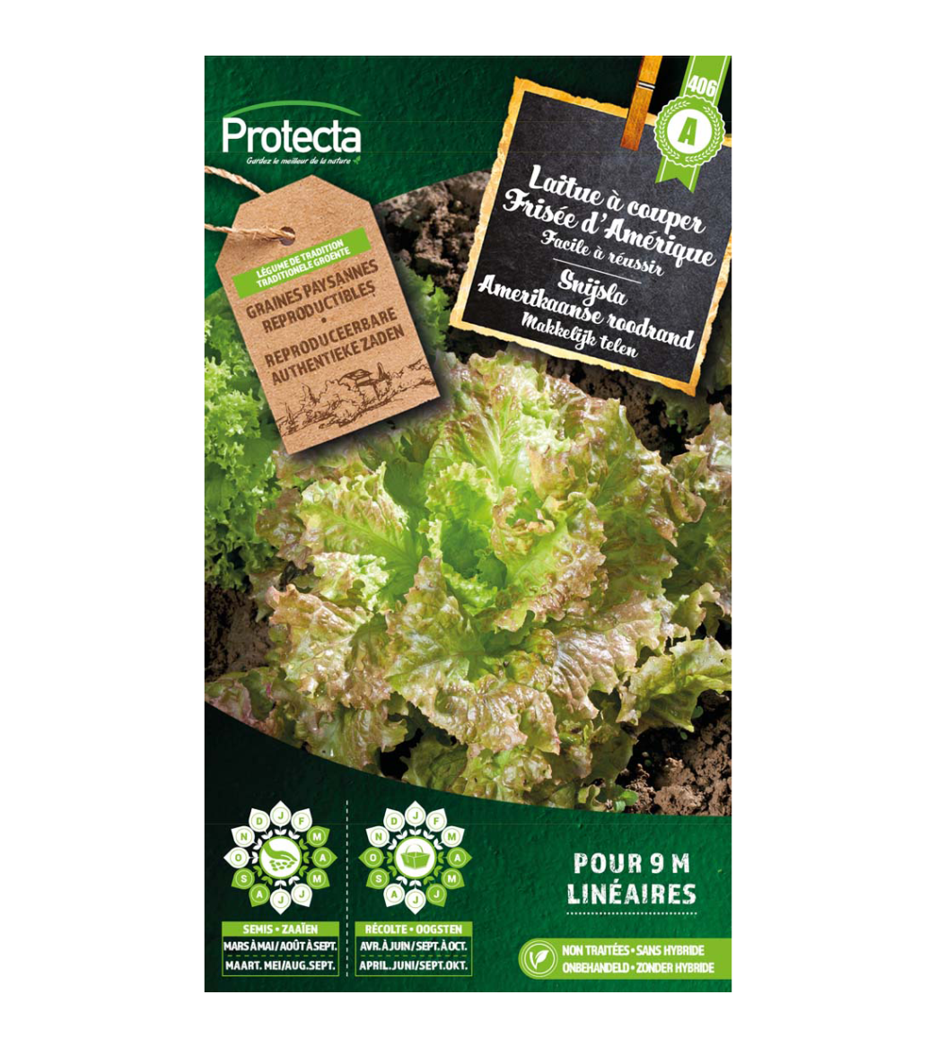 Snijsla Amerikaanse roodrand main product photo