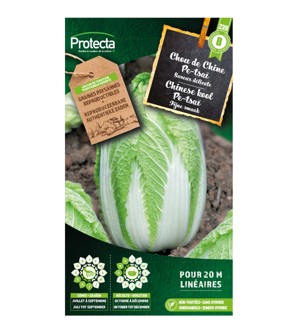 Chinese kool Pe-tsaï main product photo