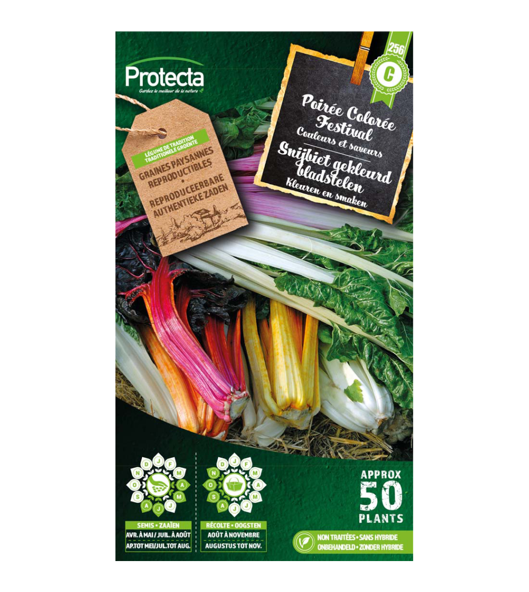 Snijbiet gekleurd bladstelen main product photo