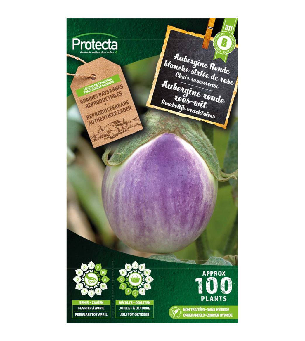 Aubergine ronde roos-wit main product photo