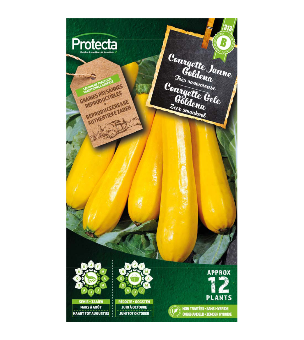 Courgette Gele Goldena main product photo