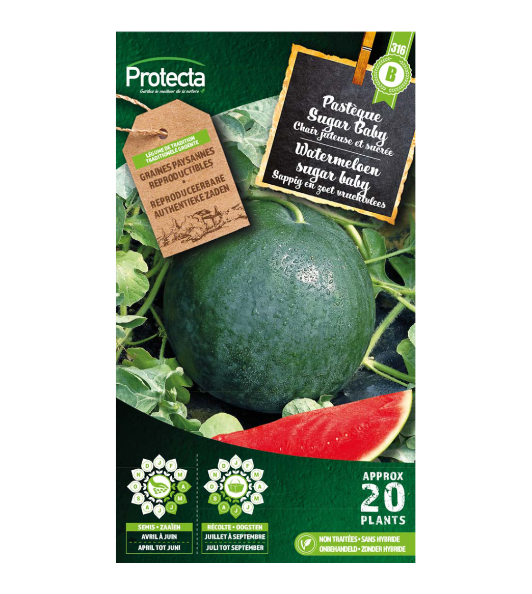 Watermeloen sugar baby main product photo