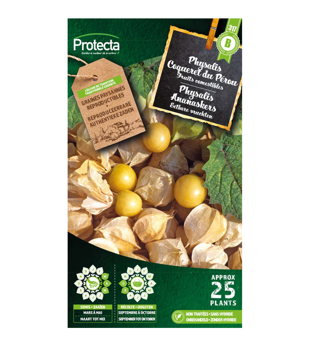 Physalis Ananaskers main product photo