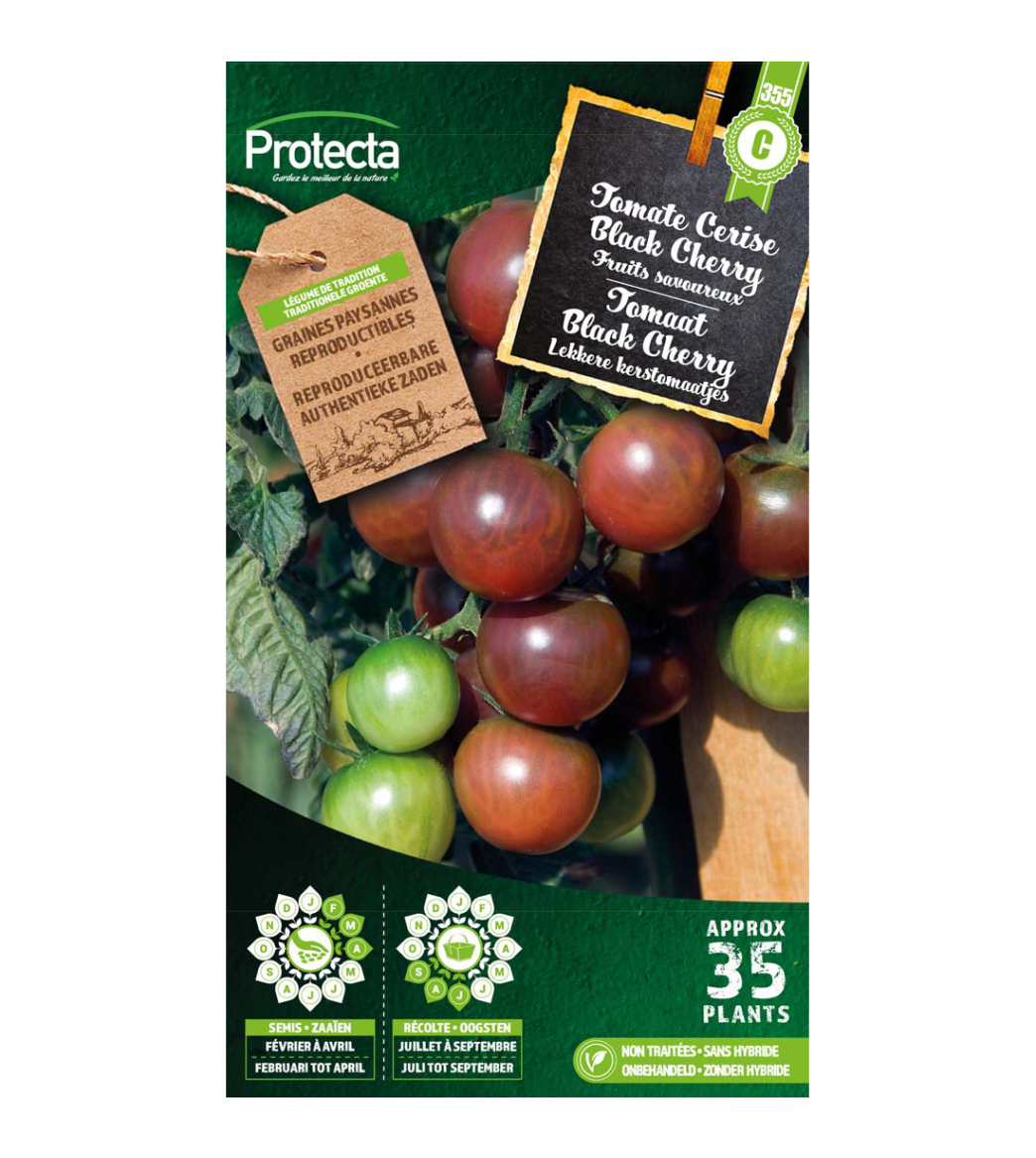 Tomaat Black Cherry main product photo