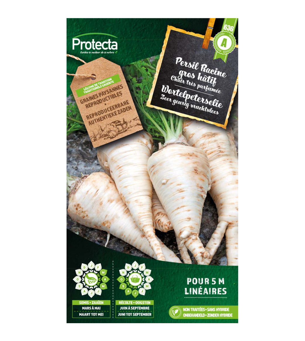 Wortelpeterselie main product photo