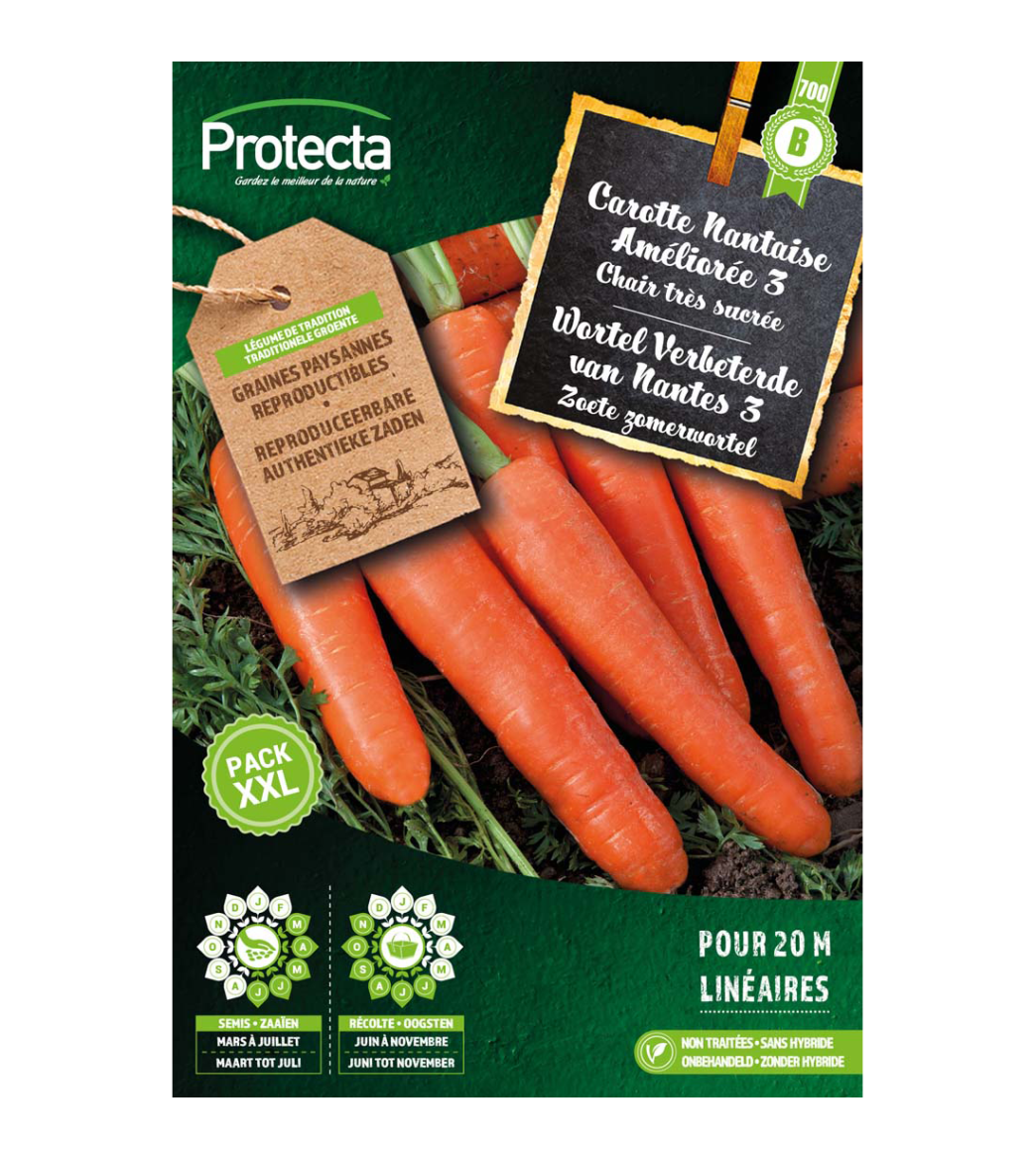 Wortel Verbeterde van Nantes 3 main product photo