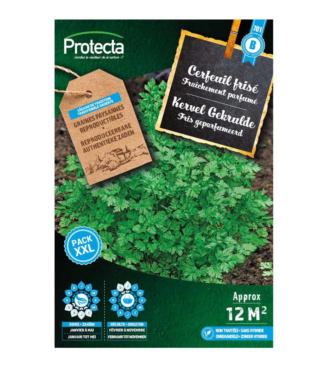 Kervel Gekrulde main product photo