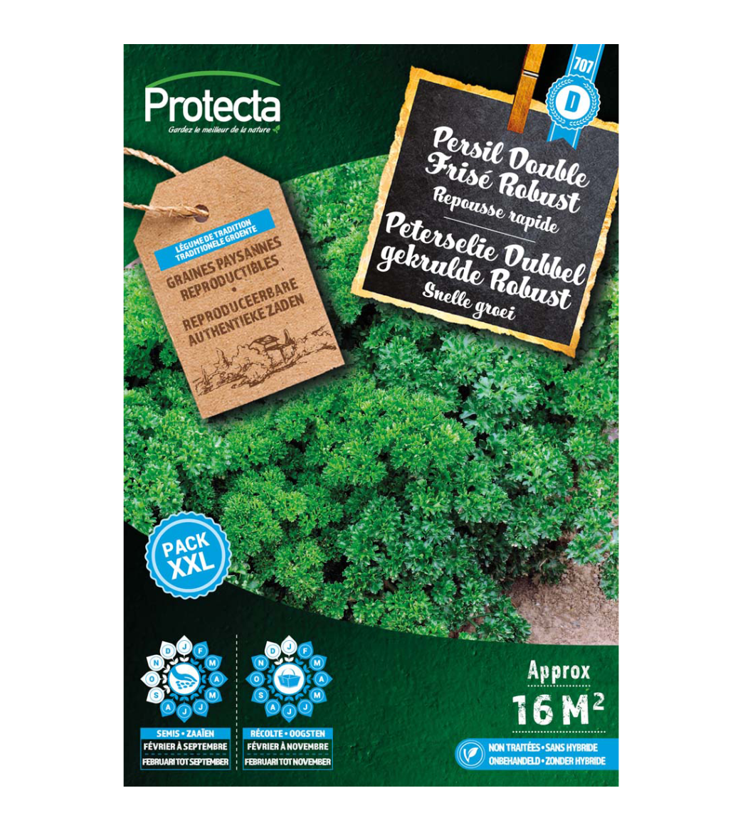 Peterselie Dubbel gekrulde Robust XXL main product photo