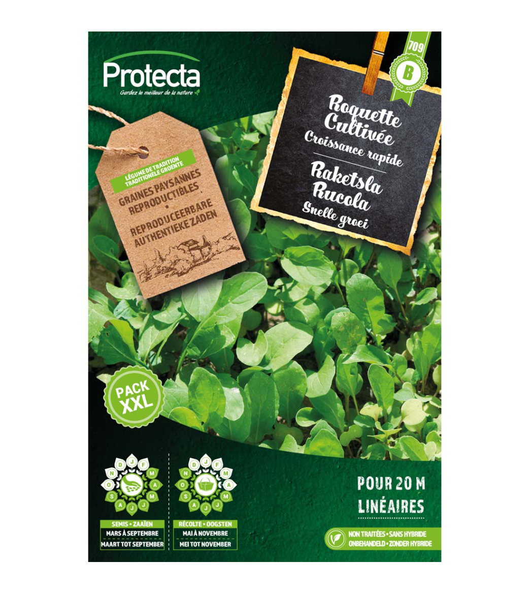 Raketsla Rucola main product photo