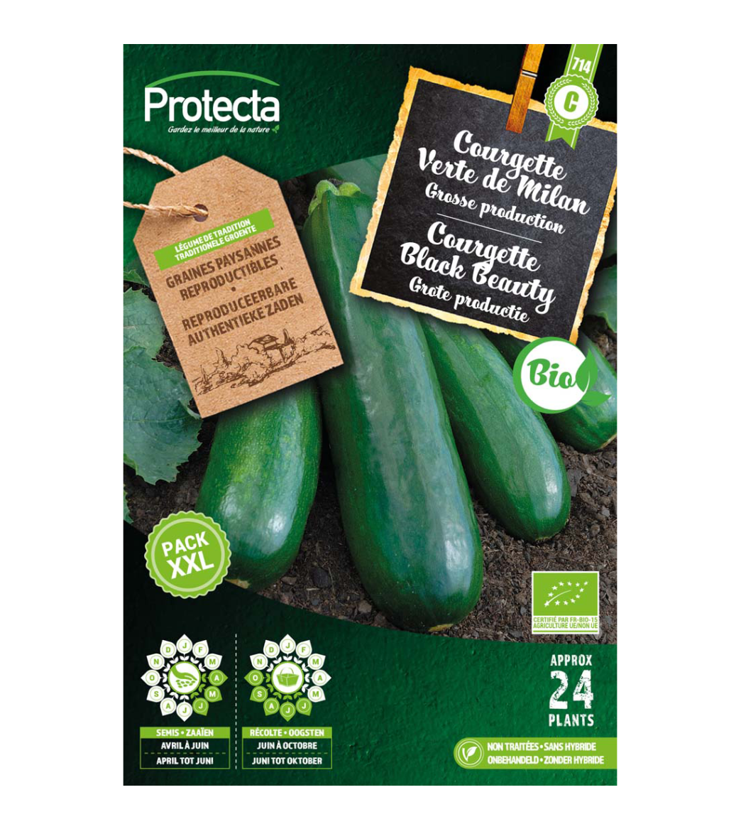 Courgette Black Beauty main product photo