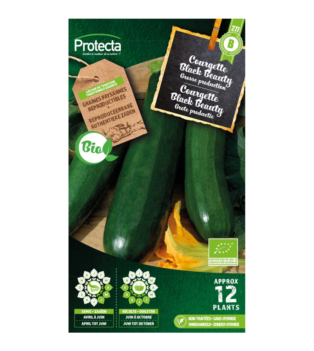 Courgette Black Beauty BIO main product photo
