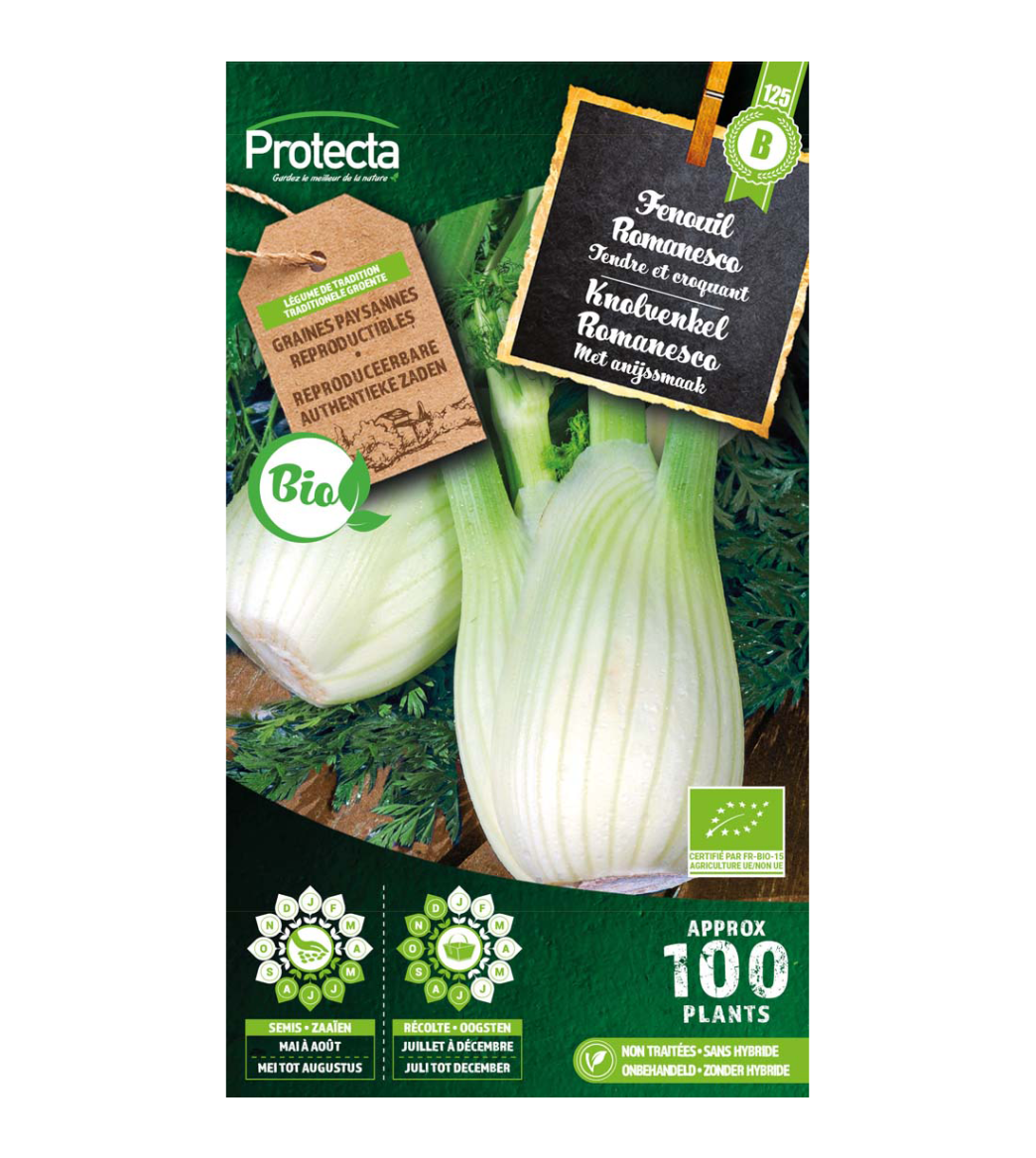 Fenouil Romanesco BIO main product photo