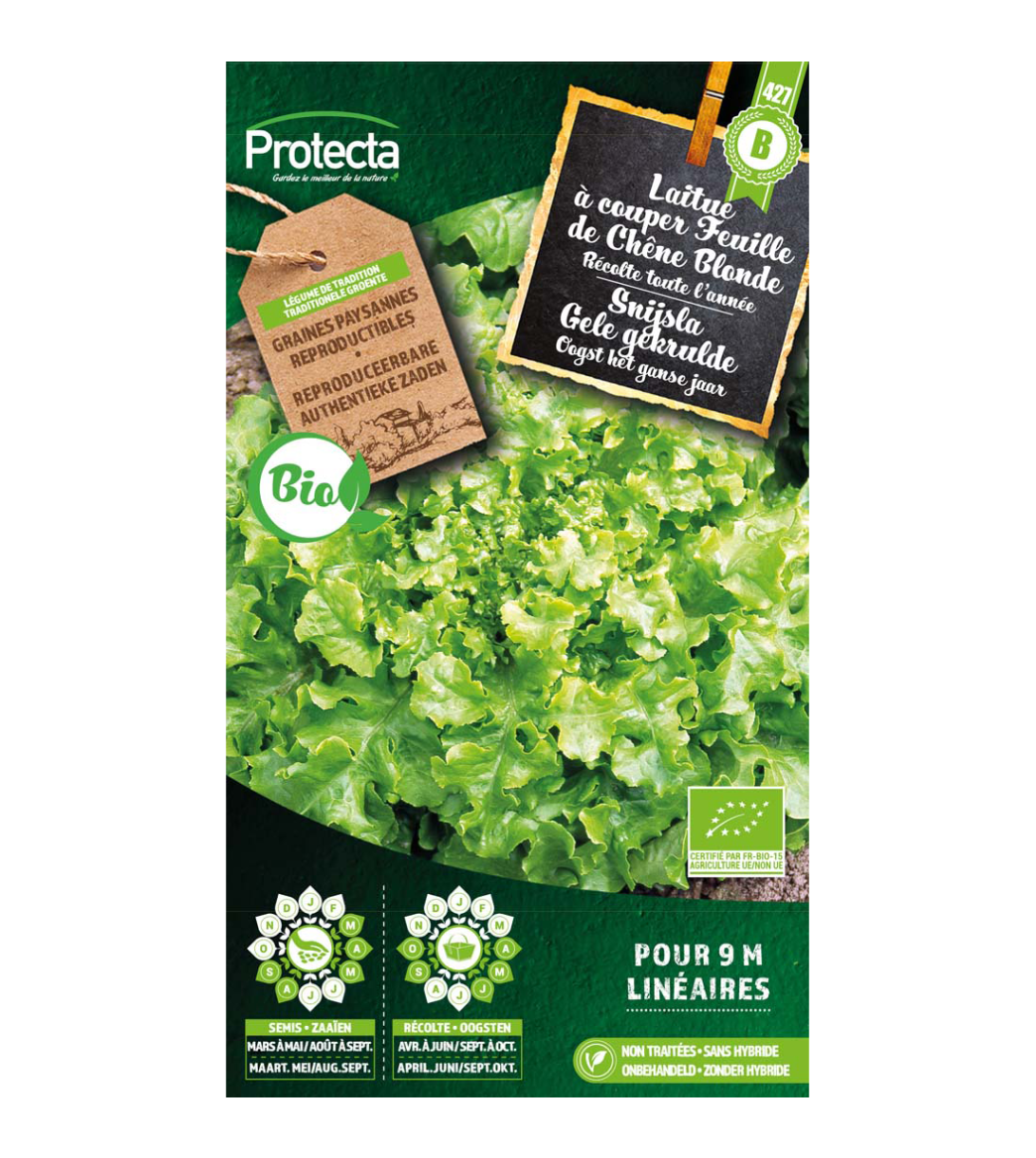 Laitue à couper Feuille de Chêne Blonde BIO main product photo