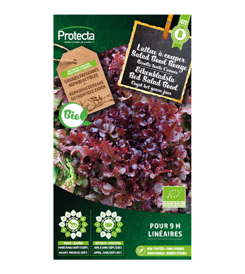 Eikenbladsla Red Salad Bowl BIO main product photo