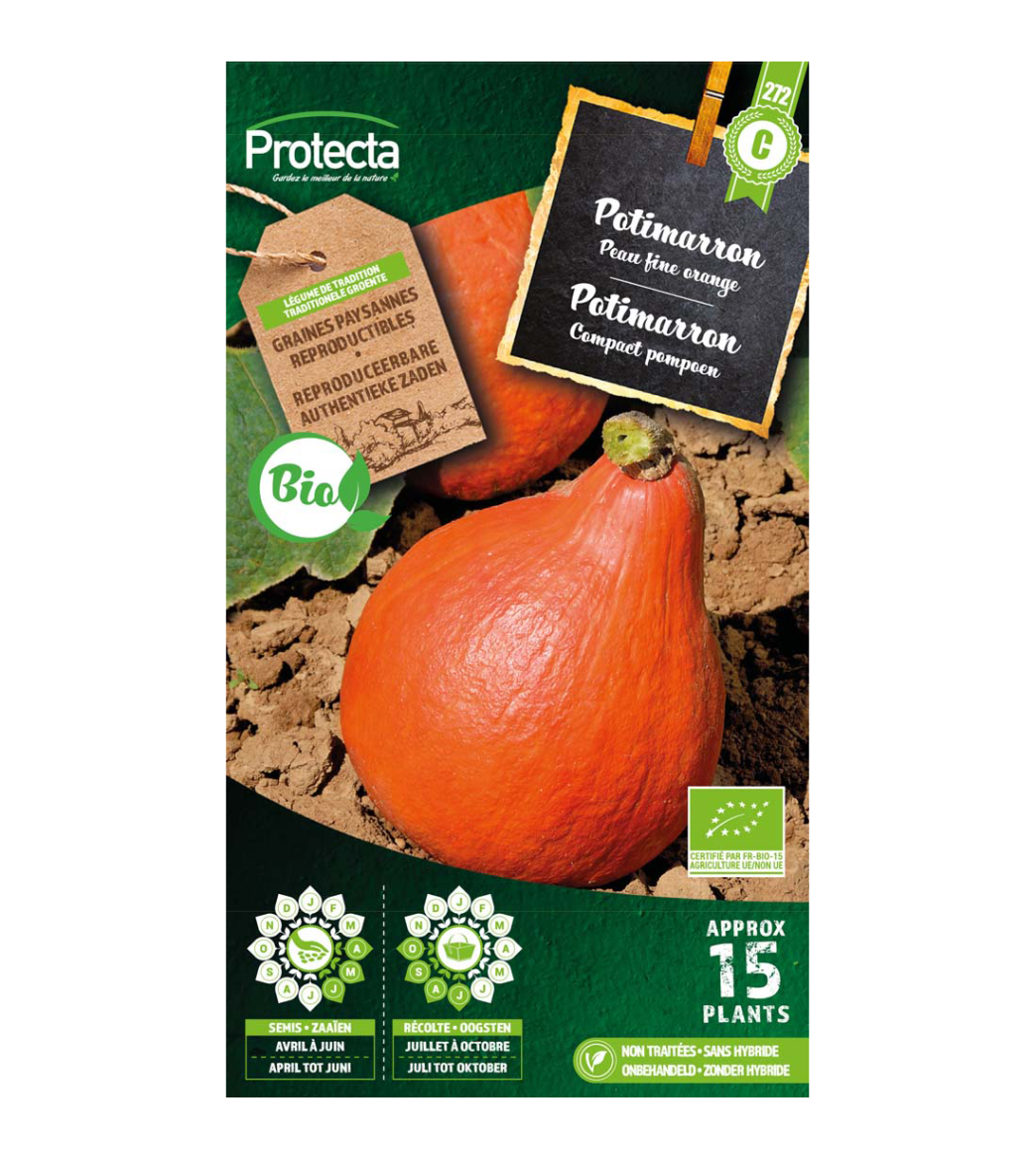 Potimarron BIO main product photo