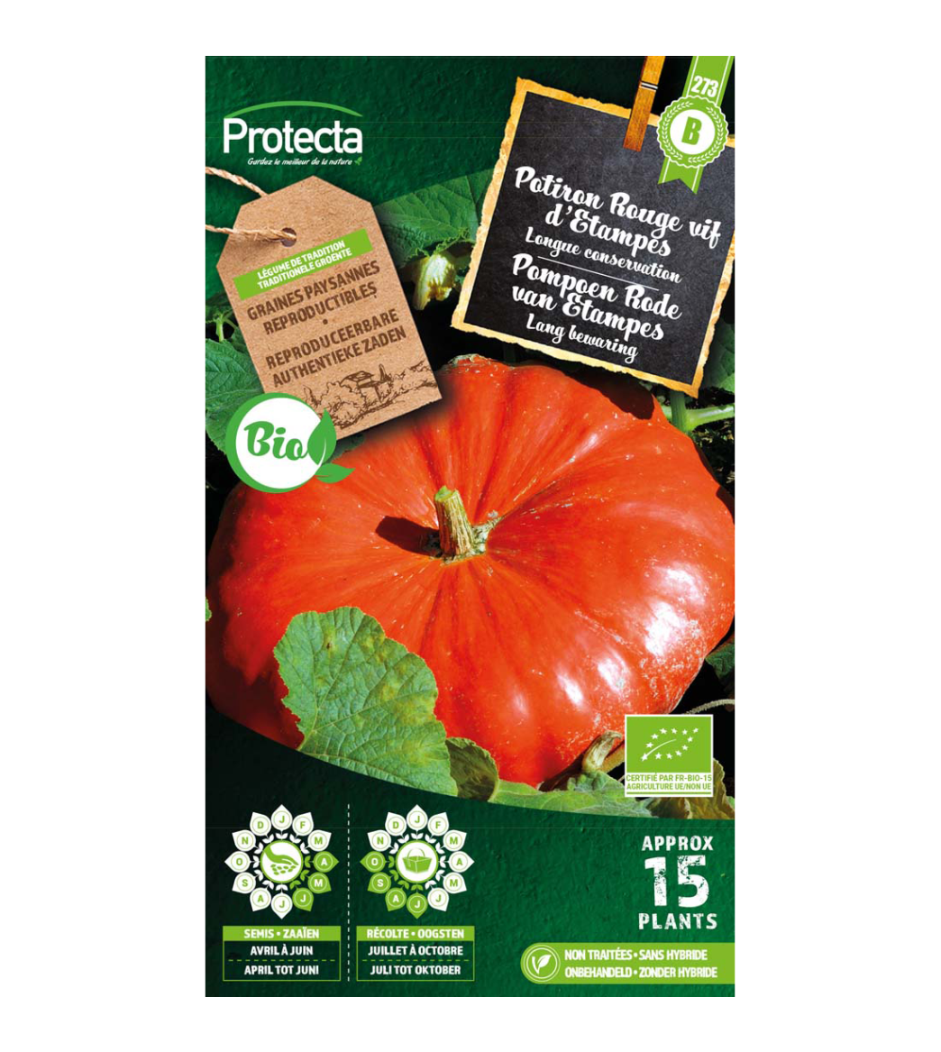 Pompoen Rode van Etampes BIO main product photo