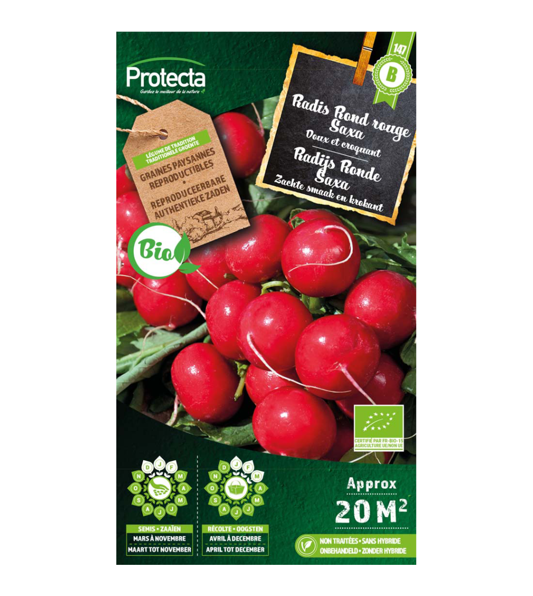 Radijs Ronde Saxa BIO main product photo