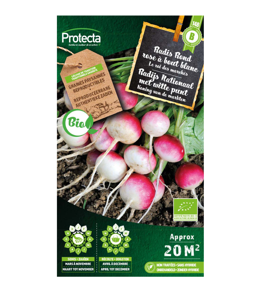 Radis Rond rose à bout blanc BIO main product photo