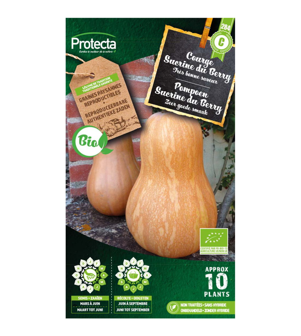 Pompoen Sucrine du Berry BIO main product photo