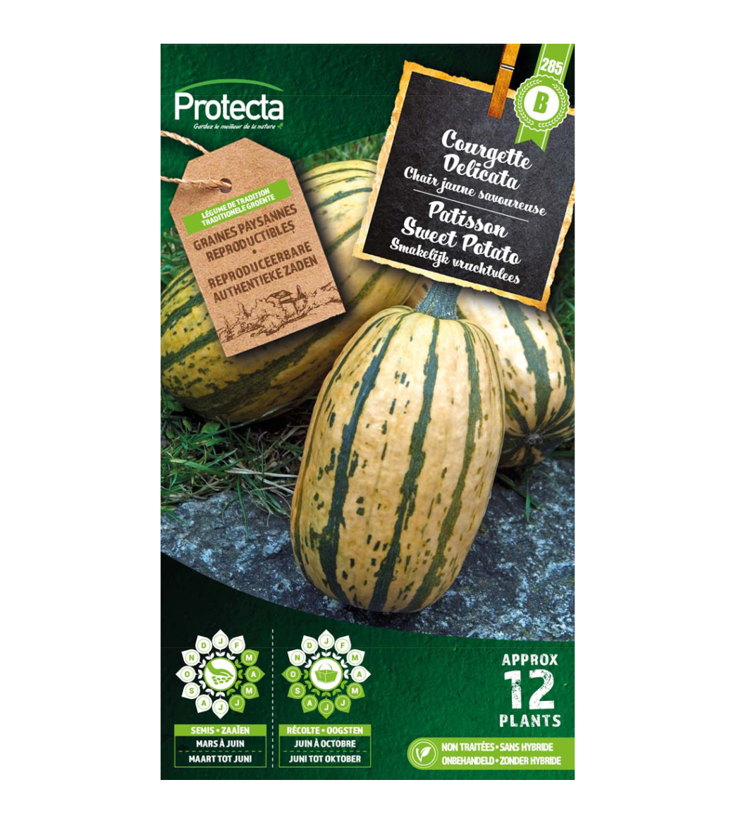 Patisson Sweet Potato main product photo