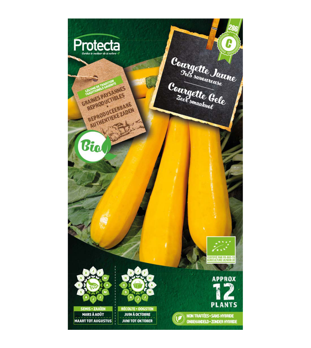 Courgette Jaune BIO main product photo