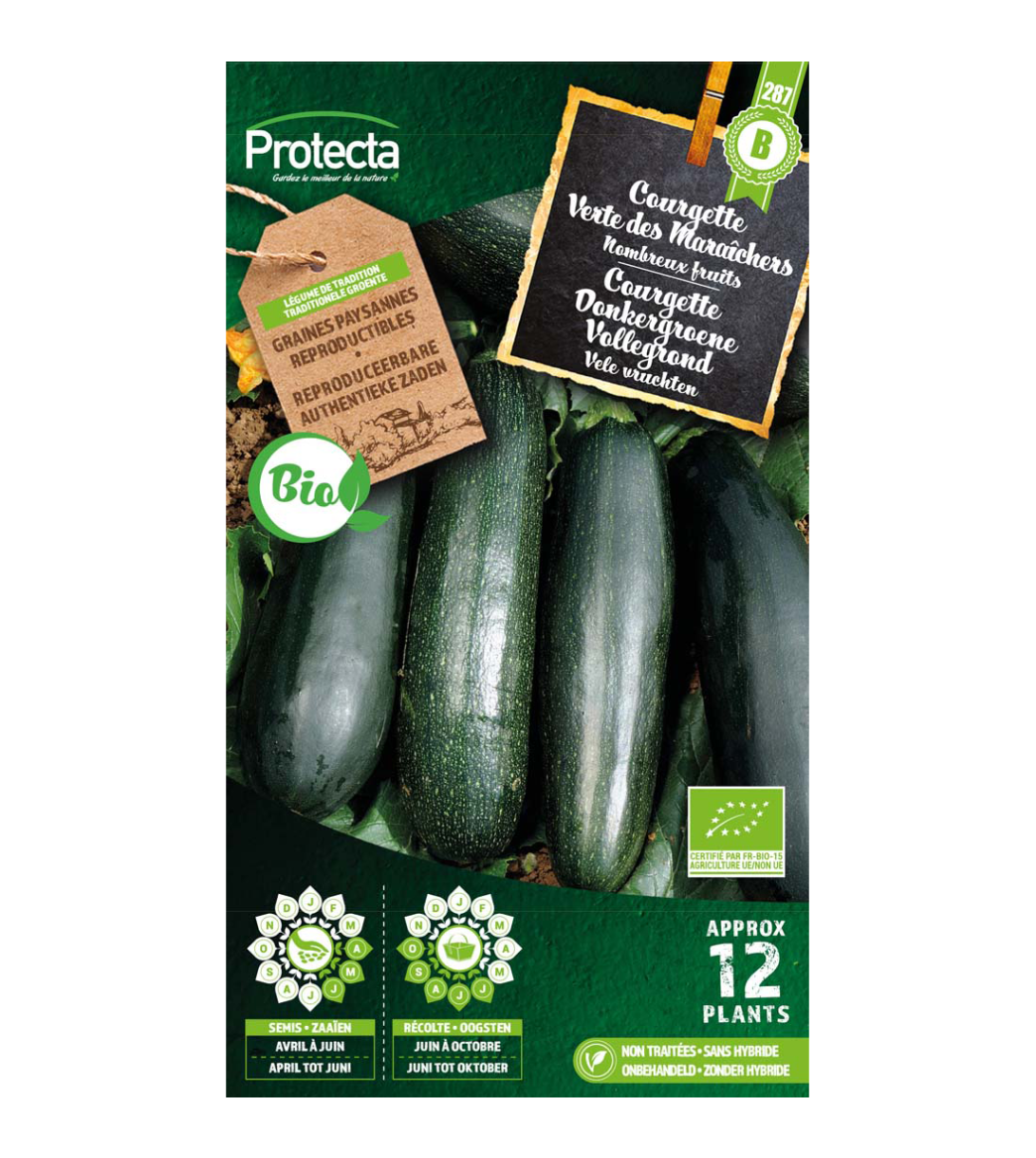 Courgette Verte des Maraîchers BIO main product photo