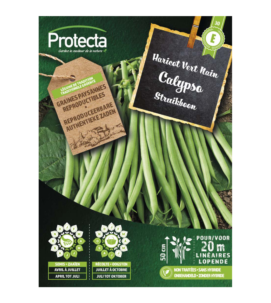 Struikboon Calypso main product photo