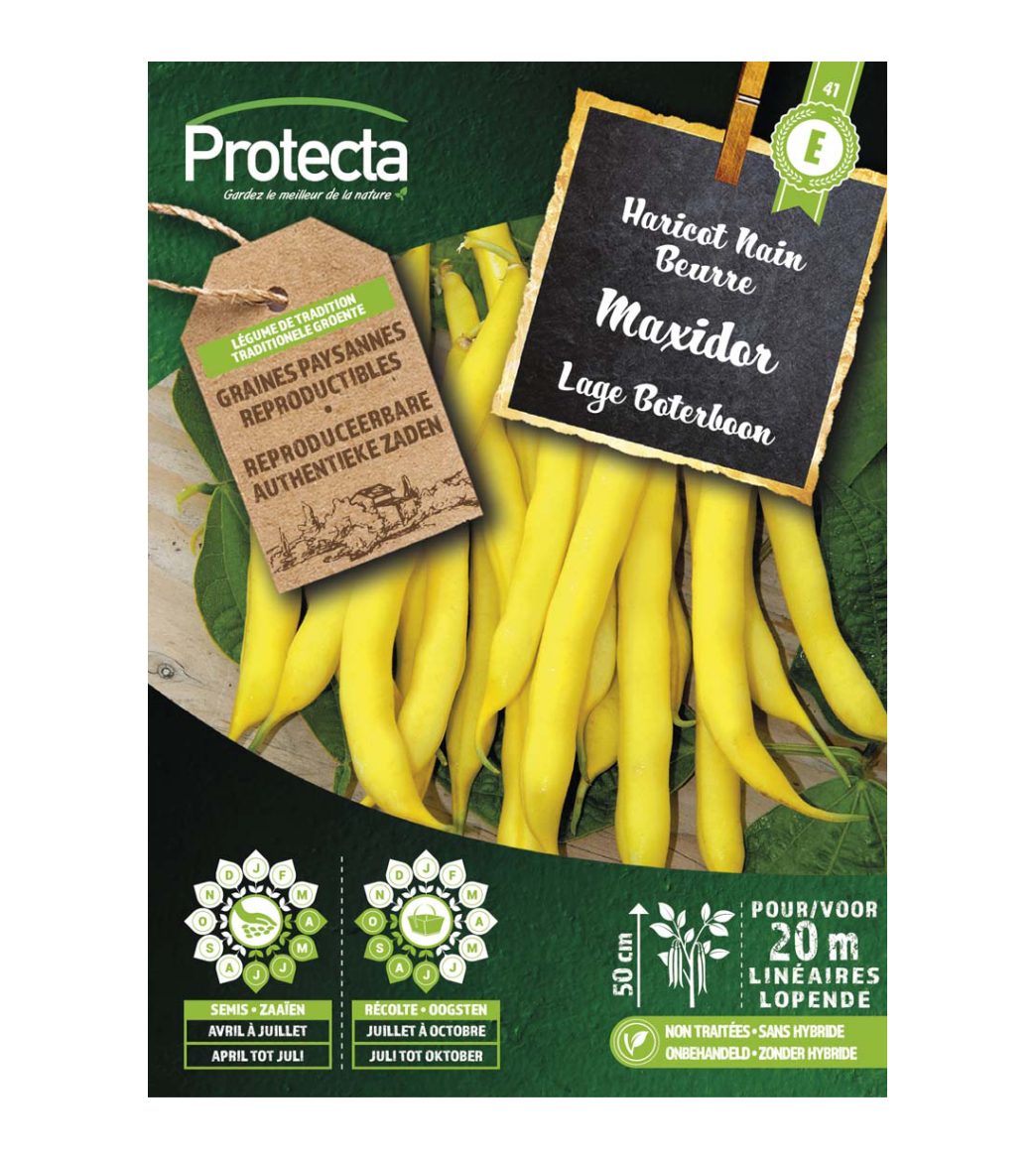 Lage Boterboon Maxidor main product photo