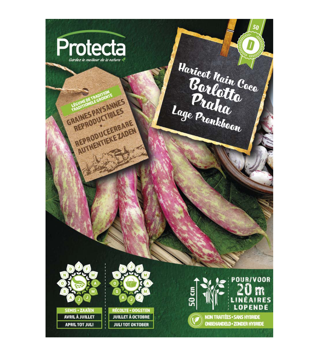 Lage Pronkboon Borlotto Praha main product photo