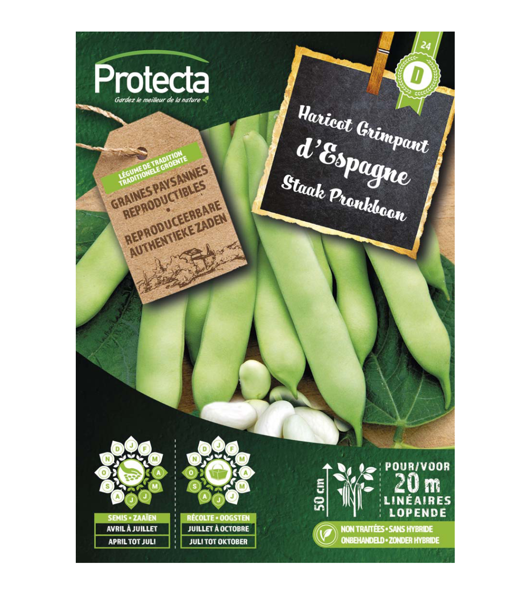 Staak Pronkboon d'Espagne main product photo