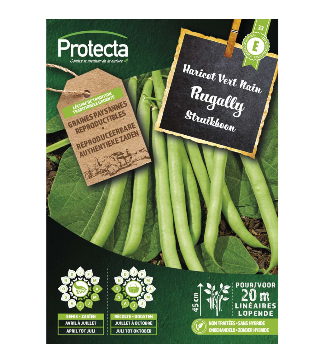 Haricot vert nain Rugally main product photo
