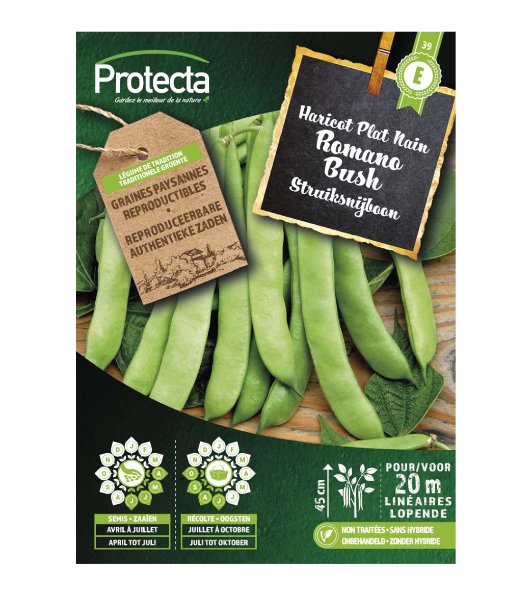 Struiksnijboon Romano Bush main product photo